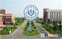 上海健康医学院是公办还是民办大学？上海健康医学院是什么性质的学校？