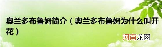 奥兰多布鲁姆为什么叫开花 奥兰多布鲁姆简介