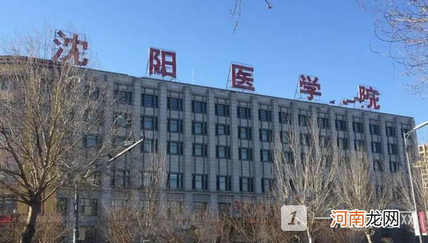 沈阳医学院是公办还是民办？沈阳医学院好不好？