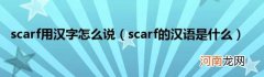 scarf的汉语是什么 scarf用汉字怎么说