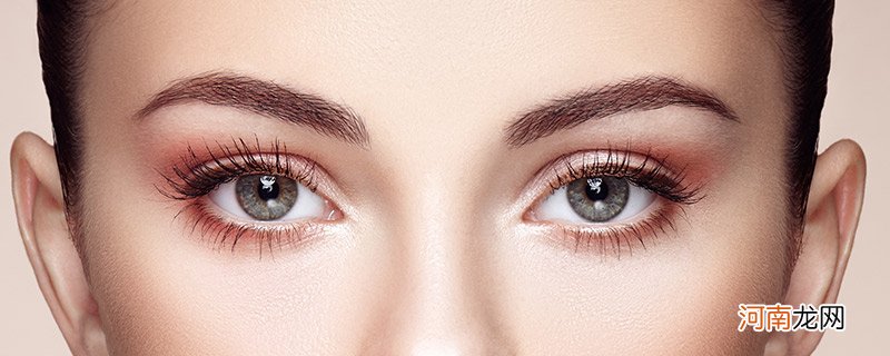眼睛的类型有几种 眼睛有哪些类型