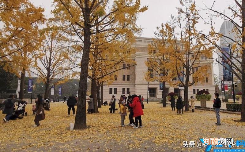 哪些旅游景点值得玩 上海有什么好玩的地方