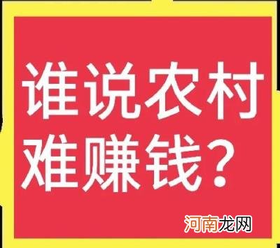 乡镇冷门暴利生意 乡镇开什么店比较有市场