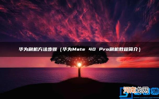 华为Mate 40 Pro刷机教程简介 华为刷机方法步骤