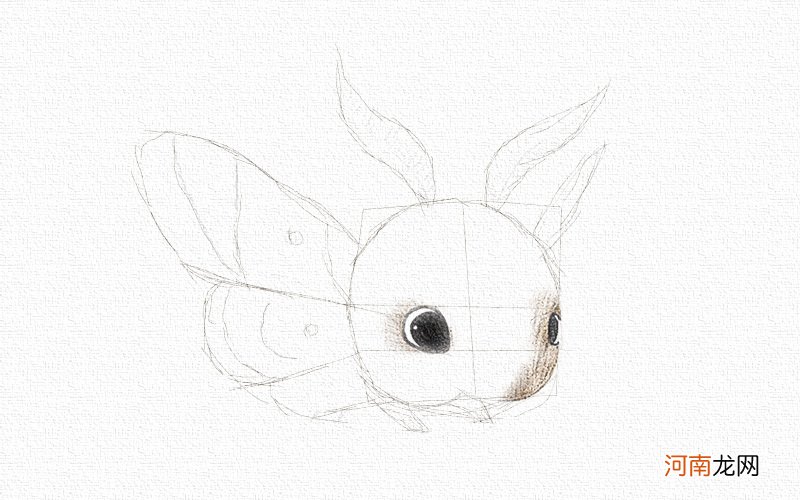 飞蛾的画法彩铅画