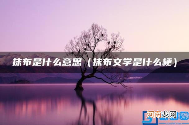 抹布文学是什么梗 抹布是什么意思