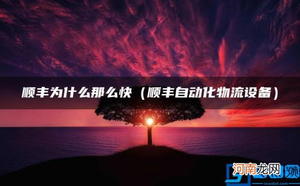 顺丰自动化物流设备 顺丰为什么那么快