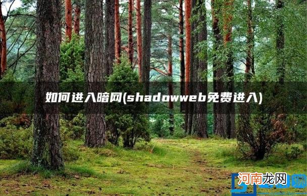 shadowweb免费进入 如何进入暗网