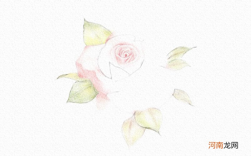 彩铅画玫瑰花图片步骤