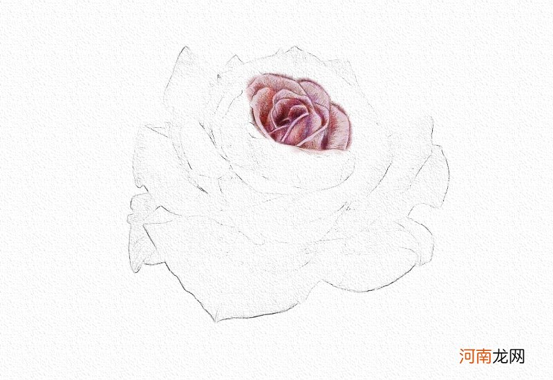 彩铅画玫瑰花教程步骤图