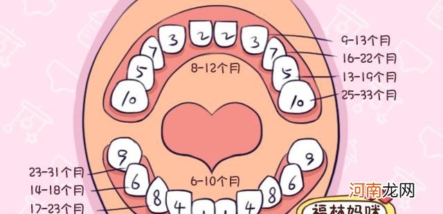 关于宝宝长牙的小知识 宝宝长牙顺序讲解