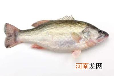 这两年养殖什么可以赚钱 有什么好养殖项目?