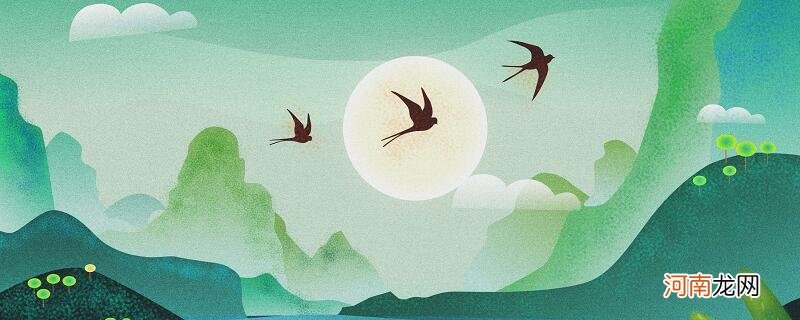 燕子有什么特点 燕子的特点