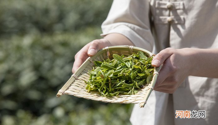 茶的起源 茶的起源与传说