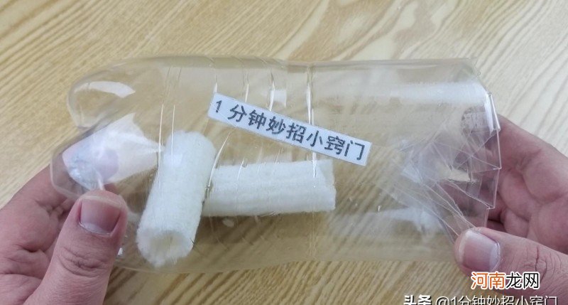 塑料垃圾造成的伤害有哪些 塑料制品的危害有哪些