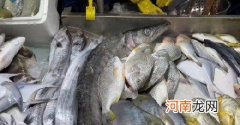 关于吃海鲜的注意事项 海鲜不能和什么一起吃会中毒