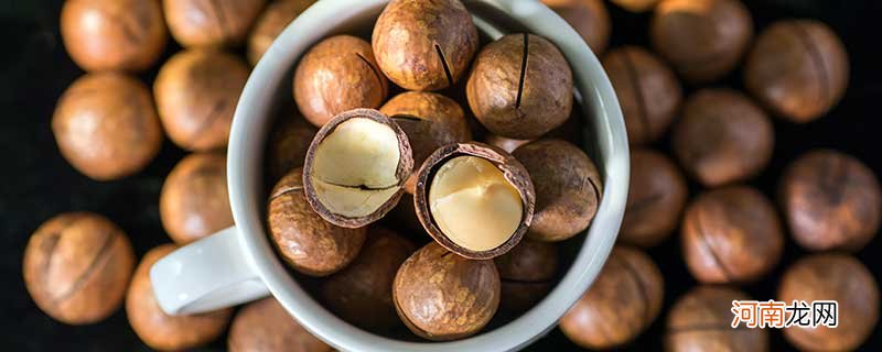 开夏威夷果的工具叫什么 吃夏威夷果的工具叫什么