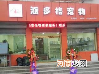 开一家宠物用品店要多少钱 开网店卖宠物用品店赚挣钱吗