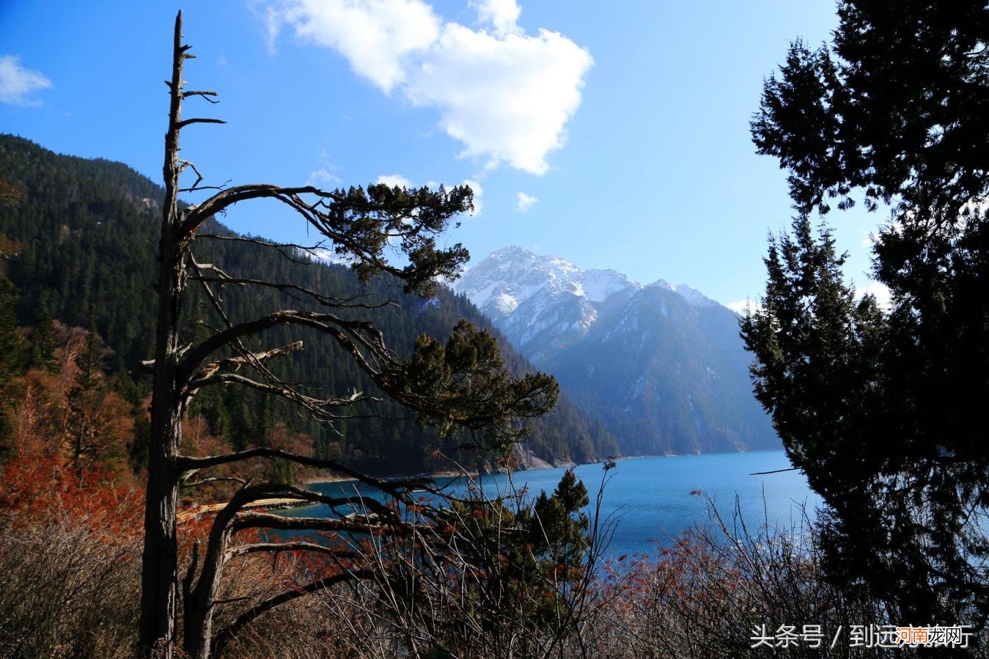 九寨沟在四川省哪个市 九寨沟是哪个省份的旅游景点