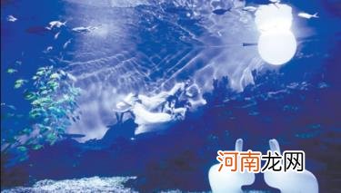 武汉海昌极地海洋世界约的夜场上午可以去吗 武汉海昌极地海洋公园上午去还是下午去