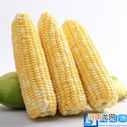 碳水的食物一般都有什么减肥碳水食物一览表 优质碳水食物一览表减肥