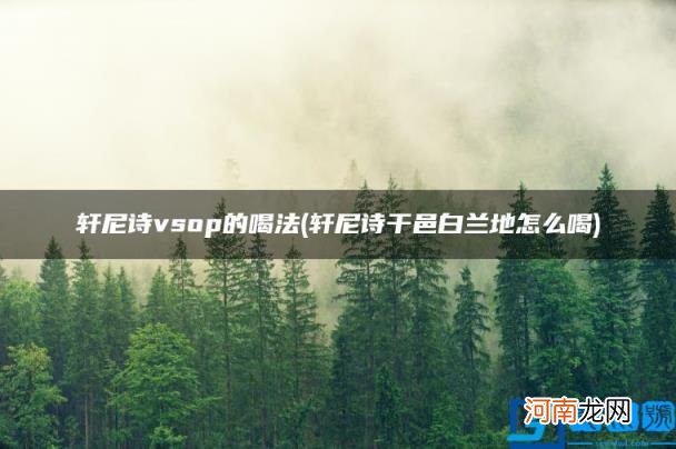 轩尼诗干邑白兰地怎么喝 轩尼诗vsop的喝法