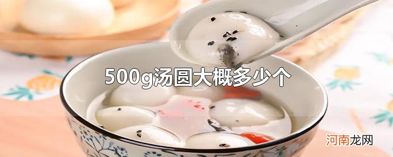 500g汤圆大概多少个