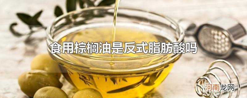 食用棕榈油是反式脂肪酸吗