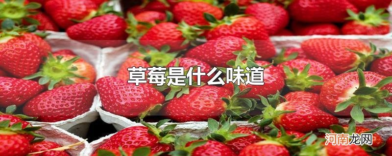 草莓是什么味道