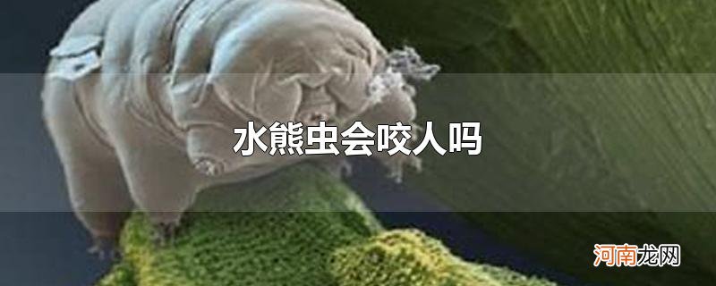 水熊虫会咬人吗