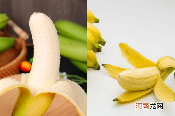 香蕉和芭蕉有什么区别？ 香蕉和芭蕉哪个贵