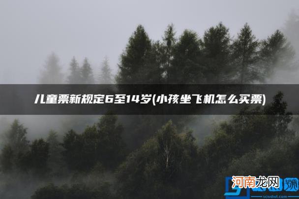 小孩坐飞机怎么买票 儿童票新规定6至14岁