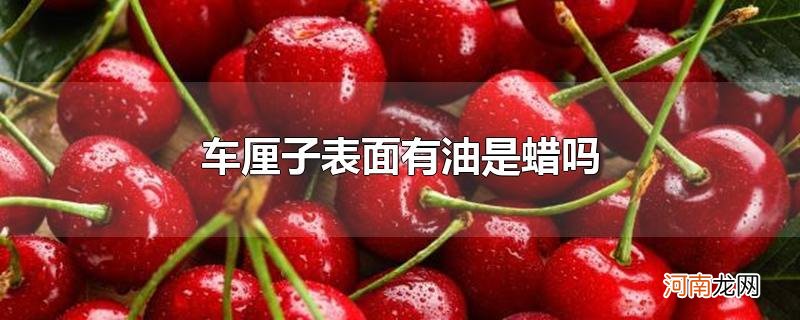 车厘子表面有油是蜡吗