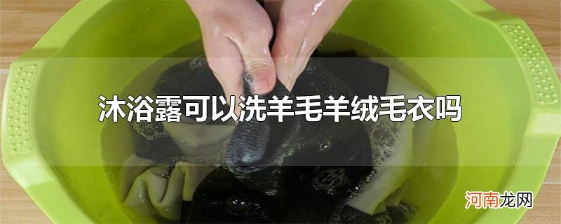 沐浴露可以洗羊毛羊绒毛衣吗