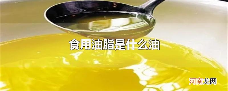 食用油脂是什么油