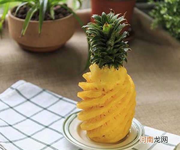 菠萝放一晚要泡着水吗 菠萝属于什么植物
