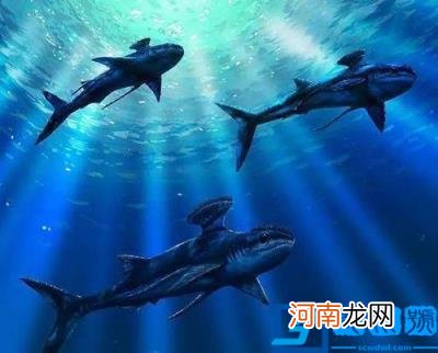 宇宙十大恐怖生物图片 哪一种还在世上