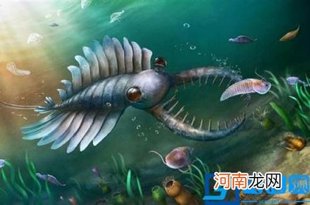 宇宙十大恐怖生物图片 哪一种还在世上