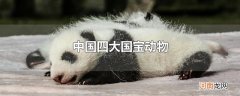 中国四大国宝动物