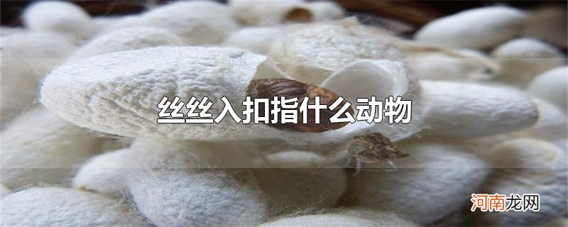 丝丝入扣指什么动物