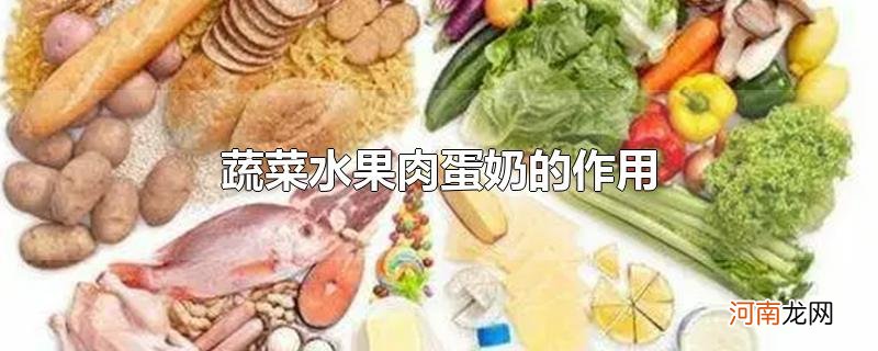 蔬菜水果肉蛋奶的作用