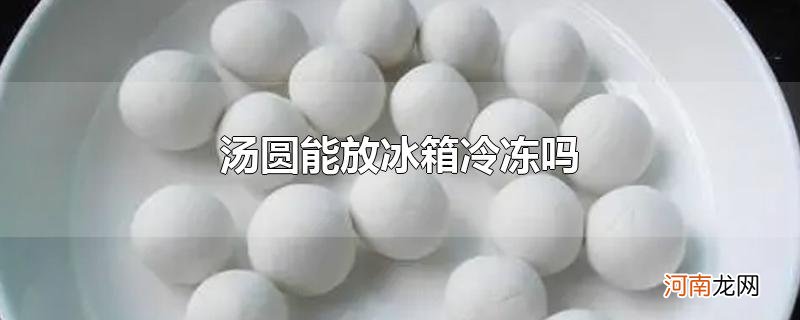 汤圆能放冰箱冷冻吗