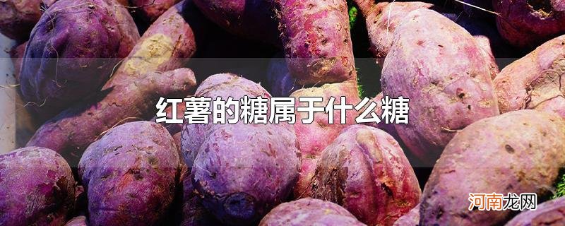 红薯的糖属于什么糖