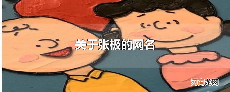 关于张极的网名