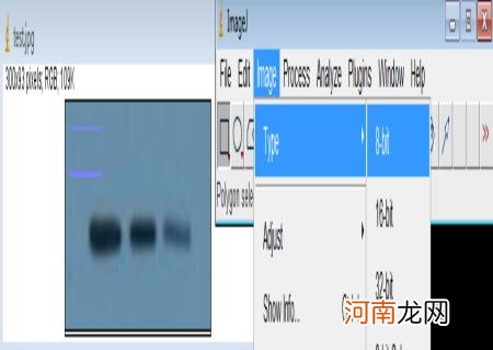 WB得到灰度值后如何统计 imagej灰度分析使用步骤柱形图