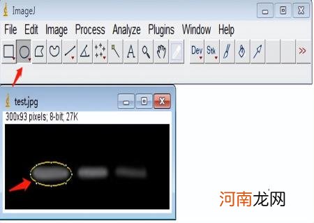 WB得到灰度值后如何统计 imagej灰度分析使用步骤柱形图