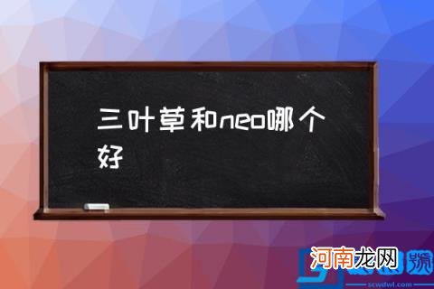 三叶草和neo哪个好,阿迪达斯neo和三叶草区别？