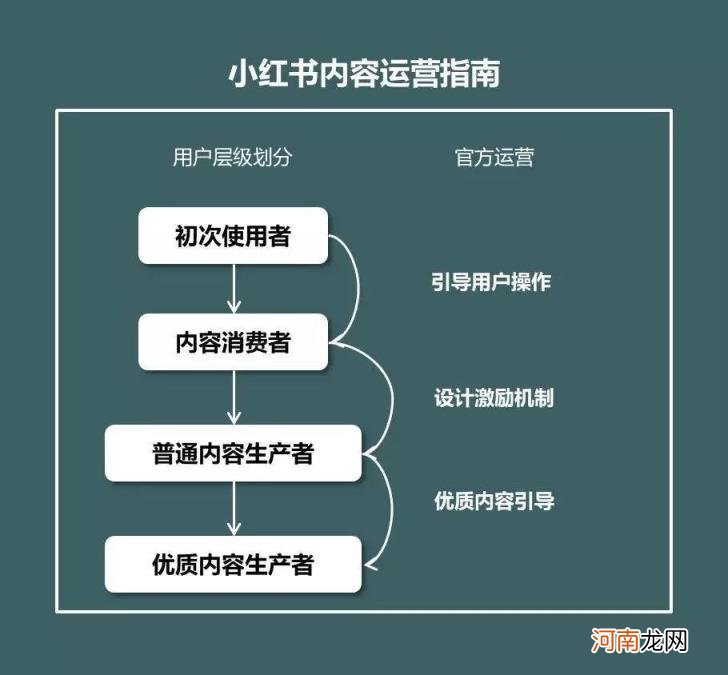 小红书在线官网首页,小红书在线官网首页如何运营？