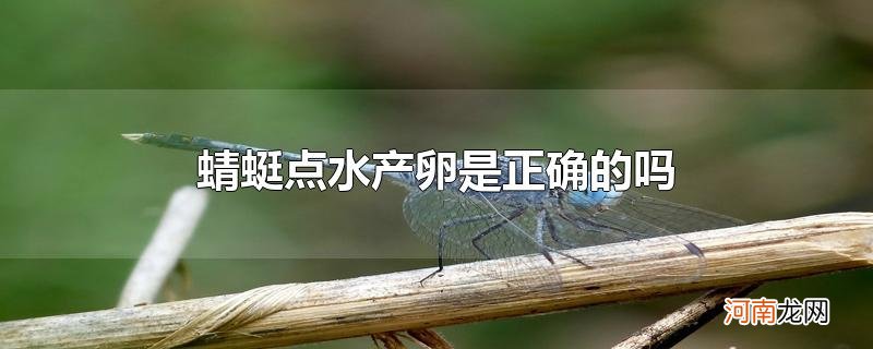 蜻蜓点水产卵是正确的吗