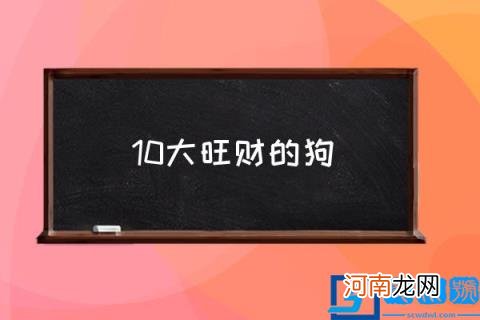 10大旺财的狗,建议穷人养的10种宠物?